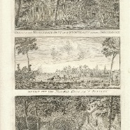 Haarlem. Haarlemmerhout,Spruitenbosch, Menniste Boschje-Kleine Houtweg. beeldmaat 19x30 cm.