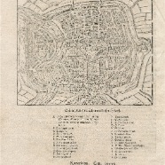 Haarlem Sebastian van Munster 1570  houtsnede 16x29 cm. € 125.-